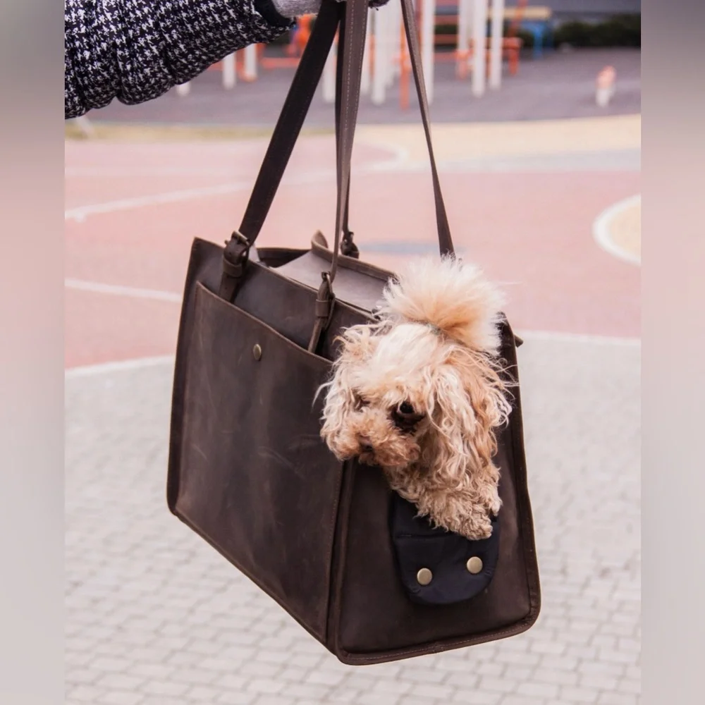 L: 8-10 kg (17-22 pound) dog: 42 cm (16.5